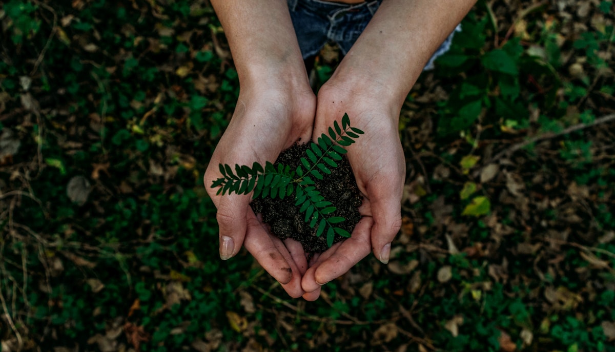 La Transparence des Pétitionnaires & l'Étude d'Impact Environnemental